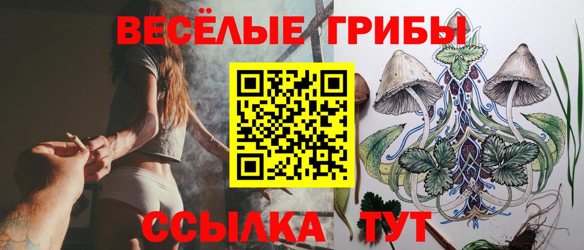 Куйбышев  Галлюциногенные грибы прущие грибы  где купить наркотик  Вход с VPN 